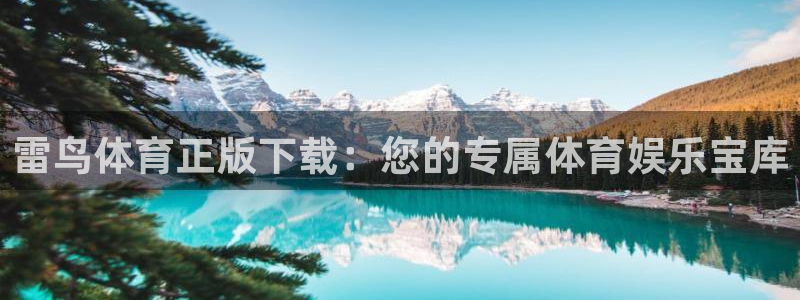 雷鸟体育正版下载：您的专属体育娱乐宝库