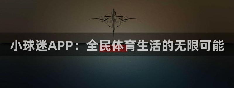 小球迷APP：全民体育生活的无限可能