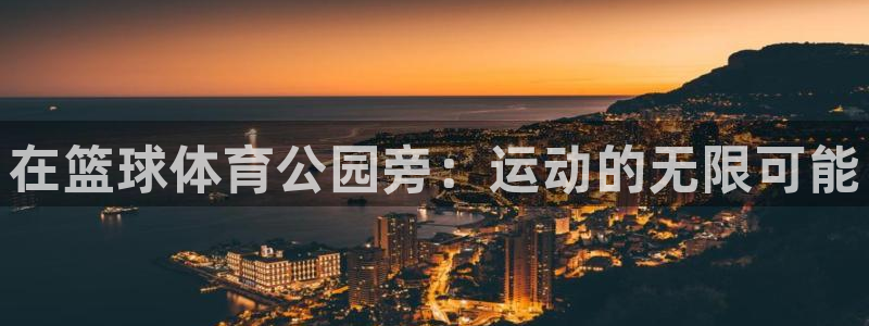 在篮球体育公园旁：运动的无限可能