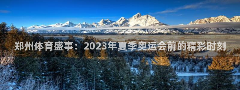 郑州体育盛事：2023年夏季奥运会前的精彩时刻