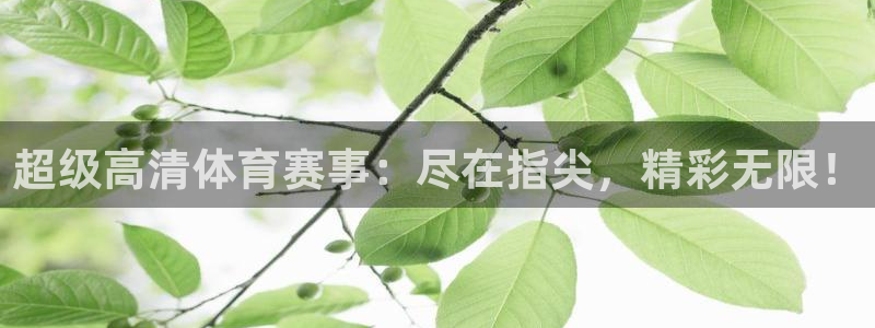 超级高清体育赛事：尽在指尖，精彩无限！
