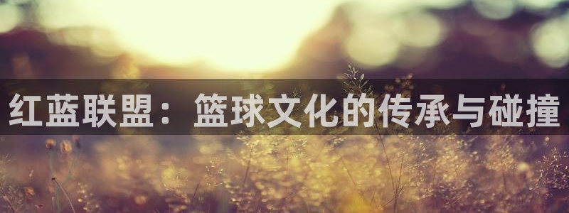 蓝鲸视频app下载