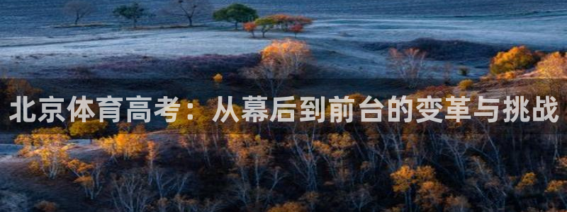 蓝鲸体育ios怎么下载不了：北京体育高考：从幕后到前台的变革与挑战