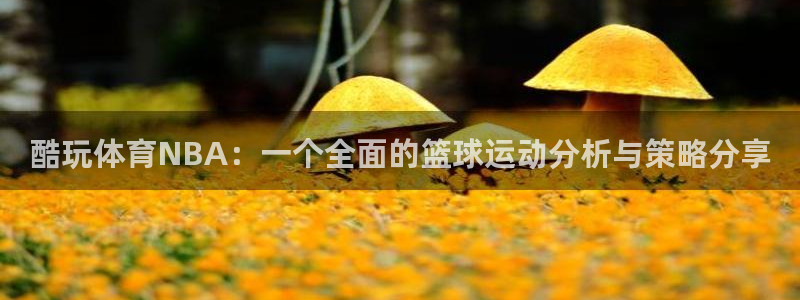 蓝鲸体育官网下载