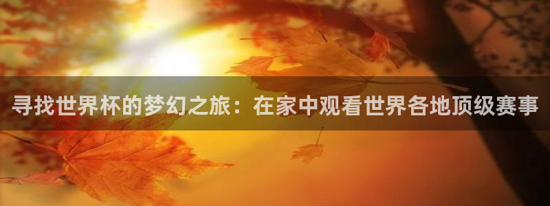 丁伟杰蓝鲸体育直播间：寻找世界杯的梦幻之旅：在家中观看世界各地顶级赛事