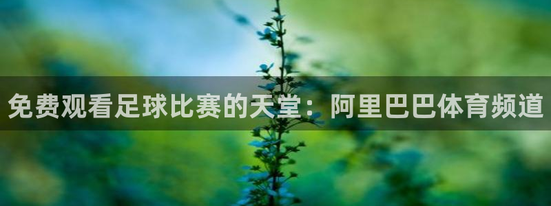 蓝鲸体育app下载ios：免费观看足球比赛的天堂：阿里巴巴体育频道