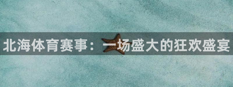 蓝鲸下载安卓版：北海体育赛事：一场盛大的狂欢盛宴